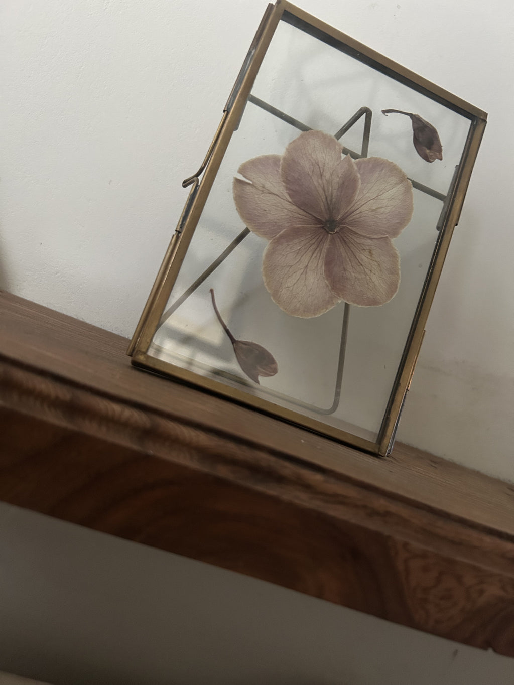 Pressed Flower Frame - Hellebore