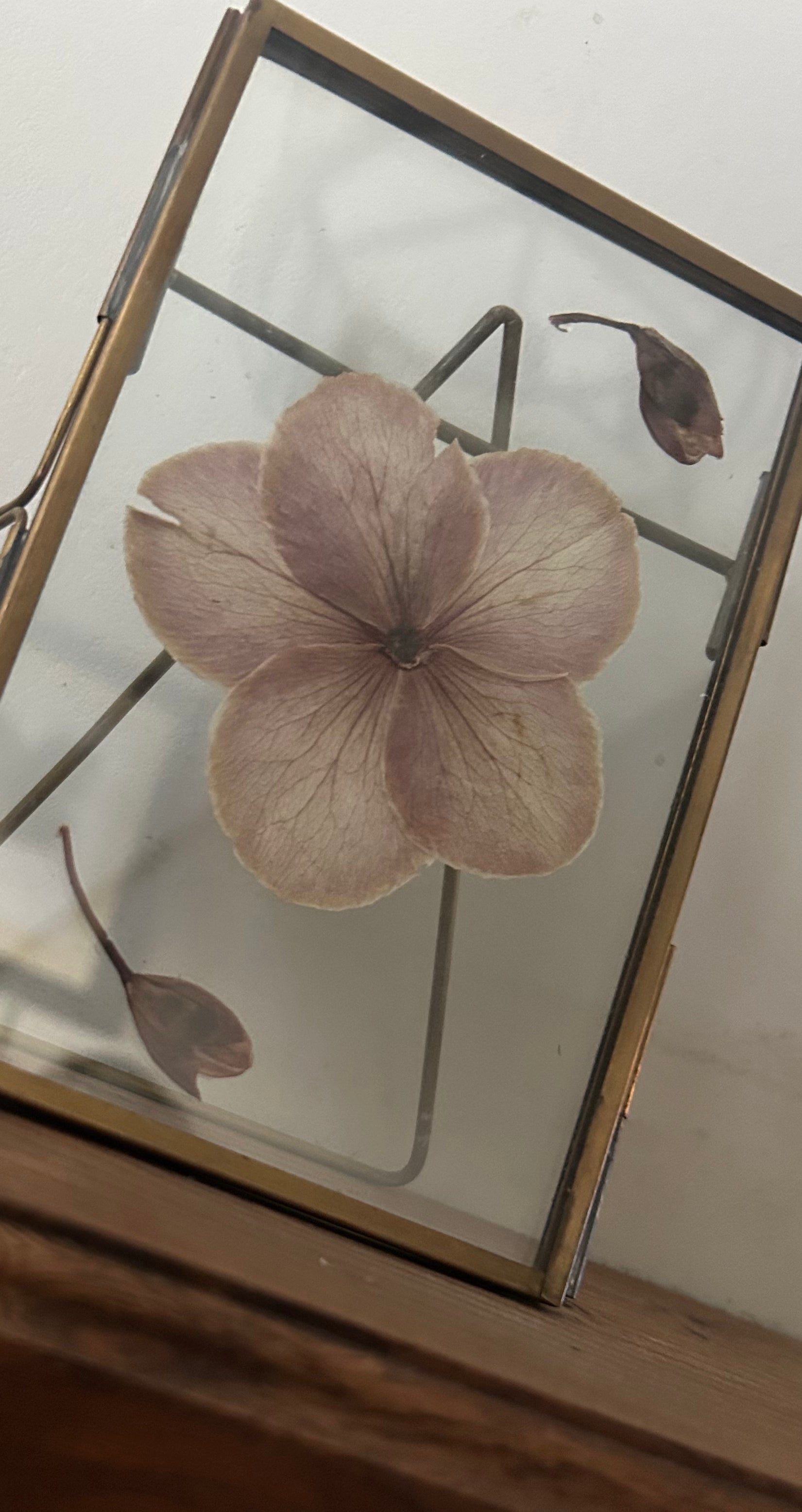 Pressed Flower Frame - Hellebore