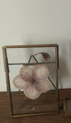 Pressed Flower Frame - Hellebore