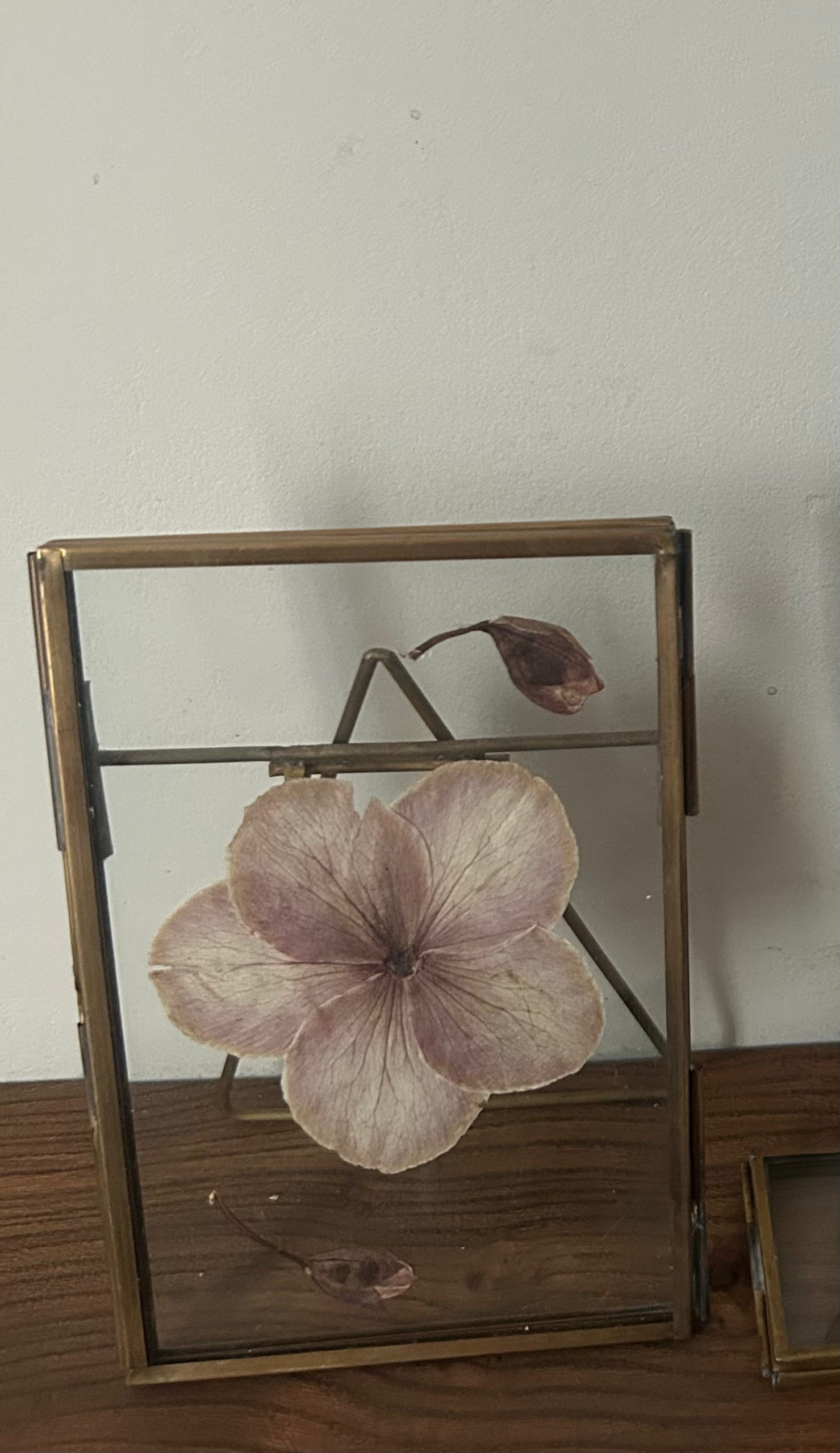 Pressed Flower Frame - Hellebore