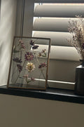 Pressed Flower Frame - Astrantia