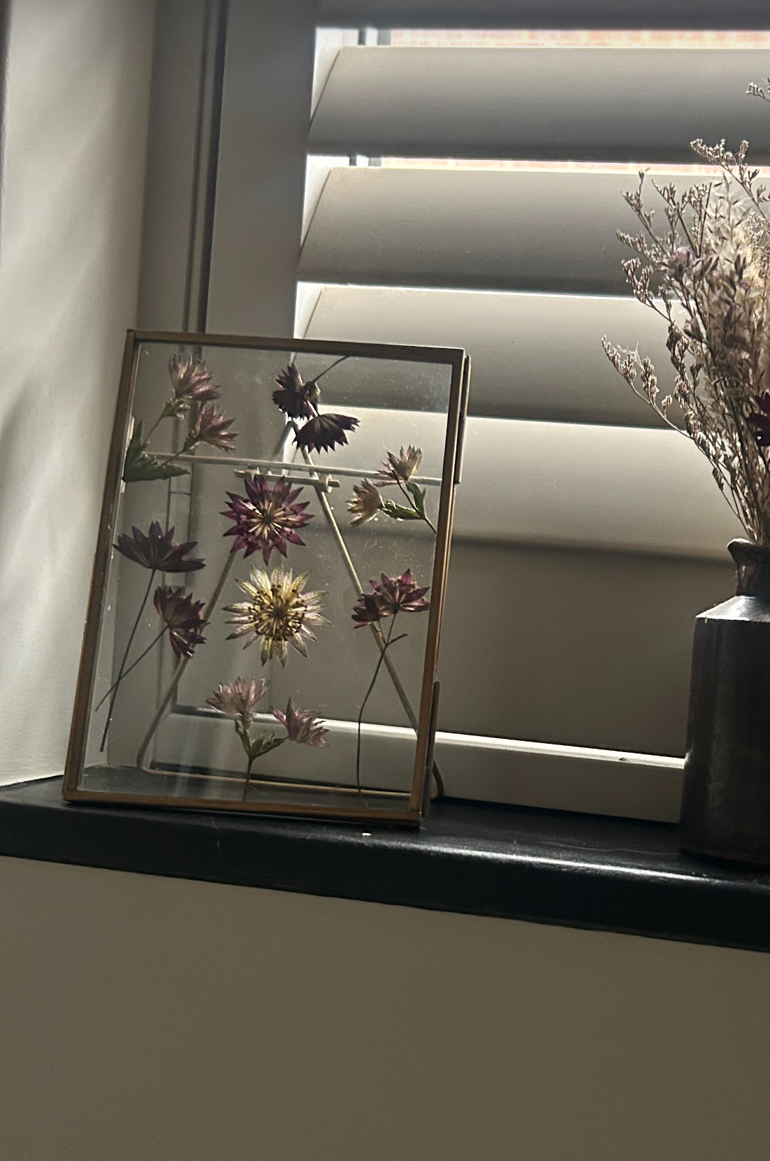 Pressed Flower Frame - Astrantia
