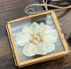 Mini Pressed Flower Gold Frame - One of a Kind Botanical Keepsake