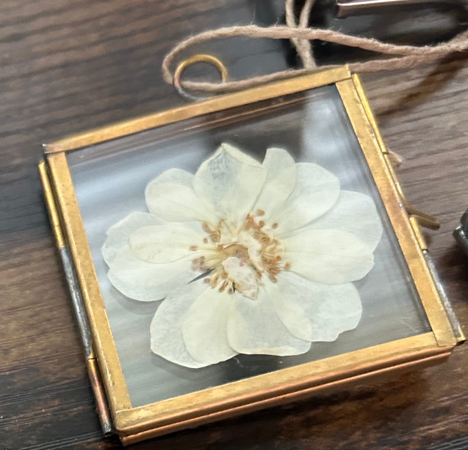 Mini Pressed Flower Gold Frame - One of a Kind Botanical Keepsake