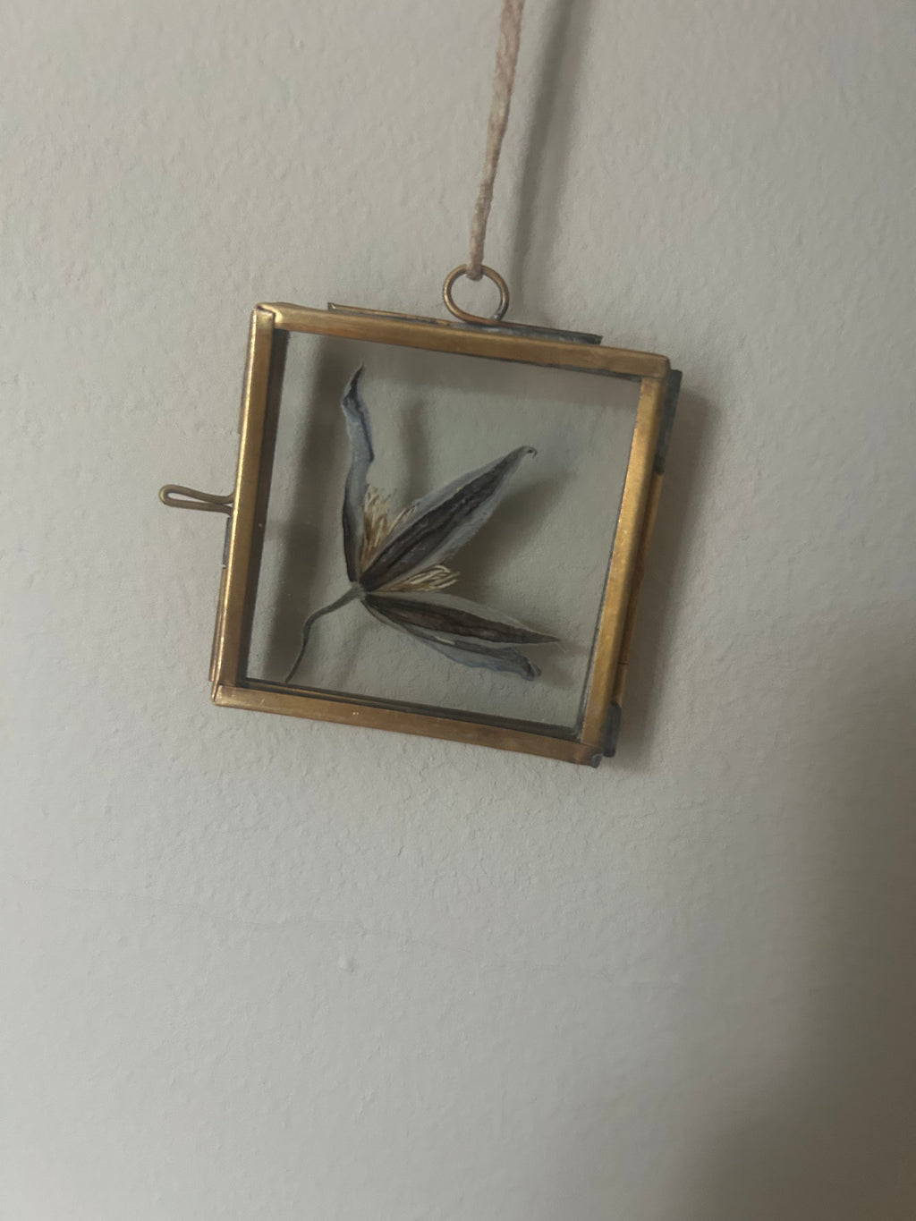 Mini Pressed Flower Gold Frame - One of a Kind Botanical Keepsake