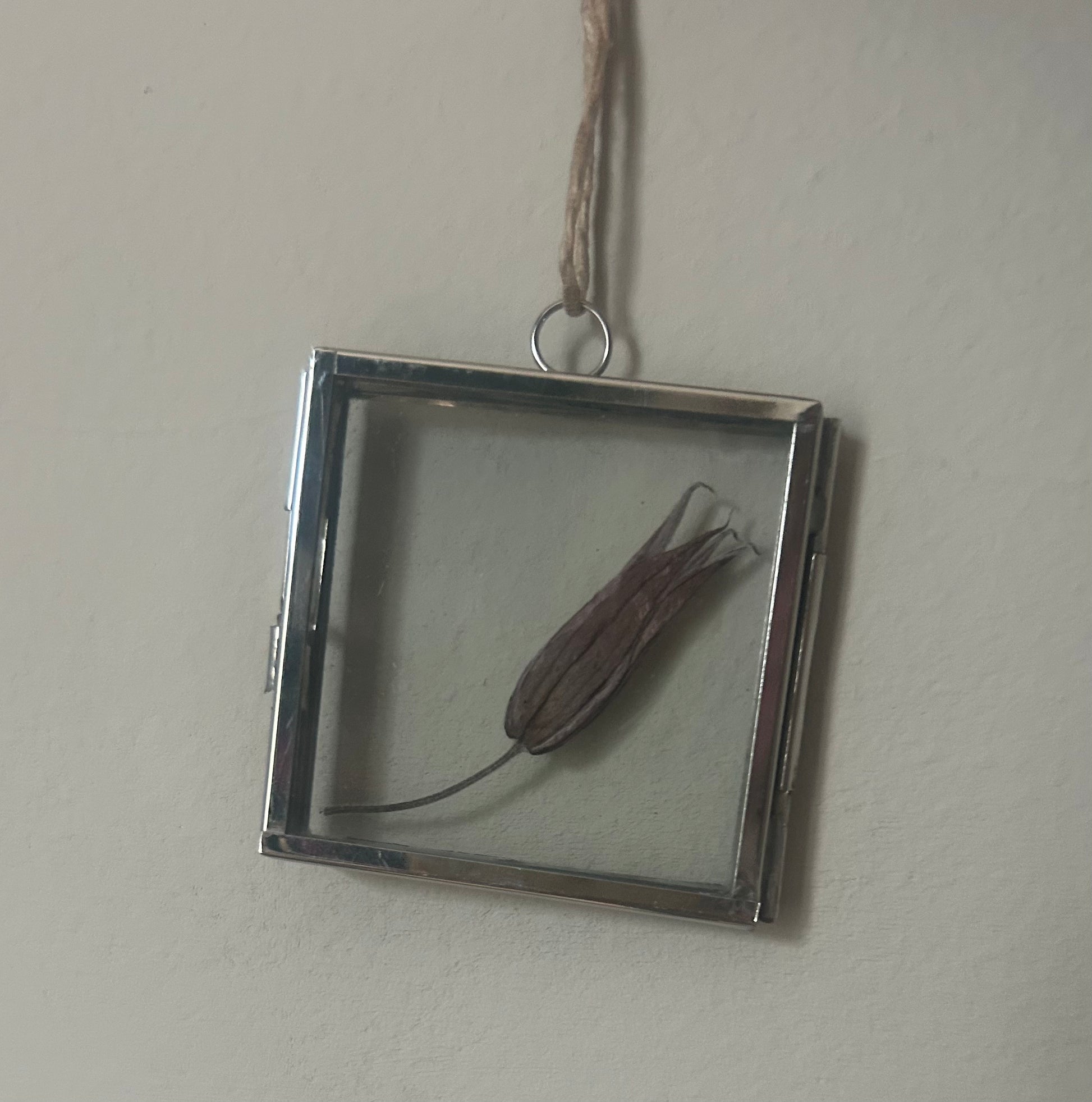 Mini Pressed Flower Gold Frame - One of a Kind Botanical Keepsake