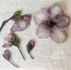 Preserving Spring Workshop