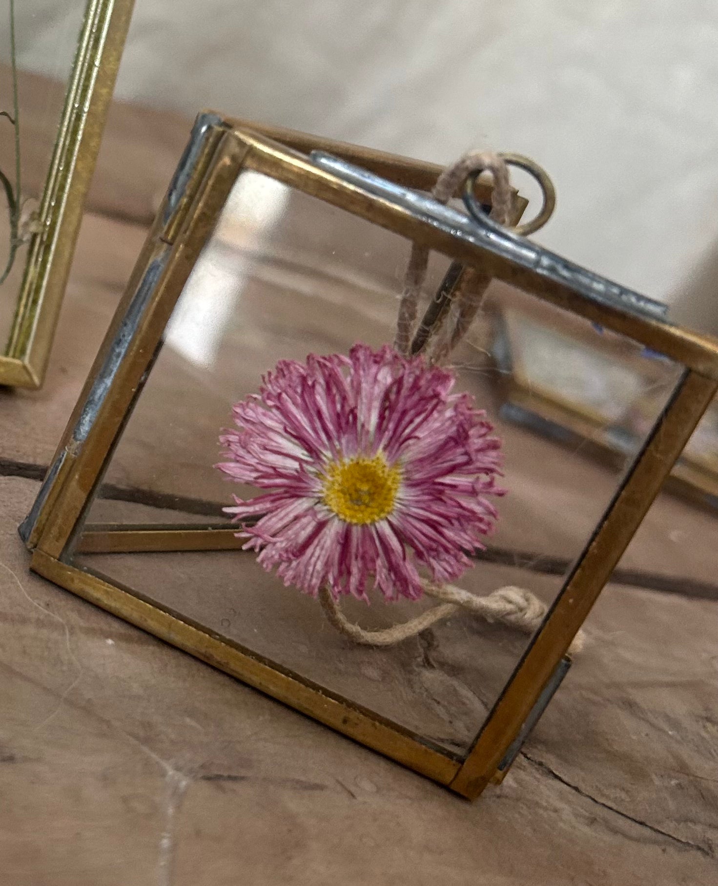 Mini Pressed Flower Gold Frame - One of a Kind Botanical Keepsake