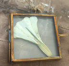 Mini Pressed Flower Gold Frame - One of a Kind Botanical Keepsake