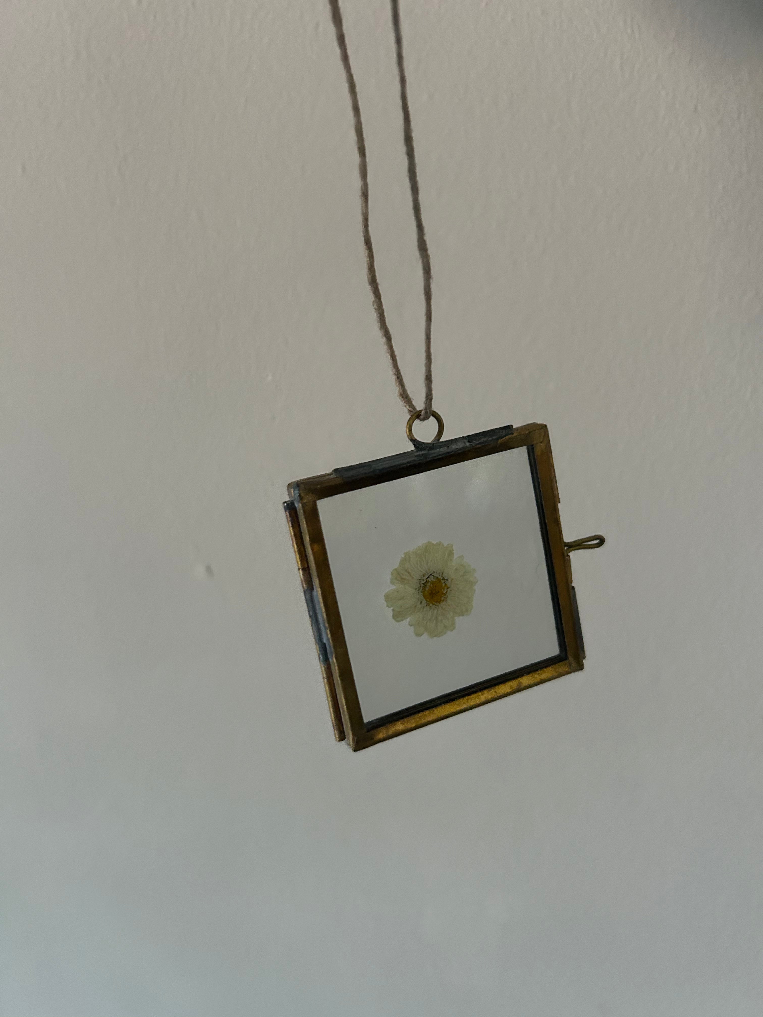 Mini Pressed Flower Gold Frame - One of a Kind Botanical Keepsake