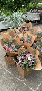 The Forget-Me-Not Plan