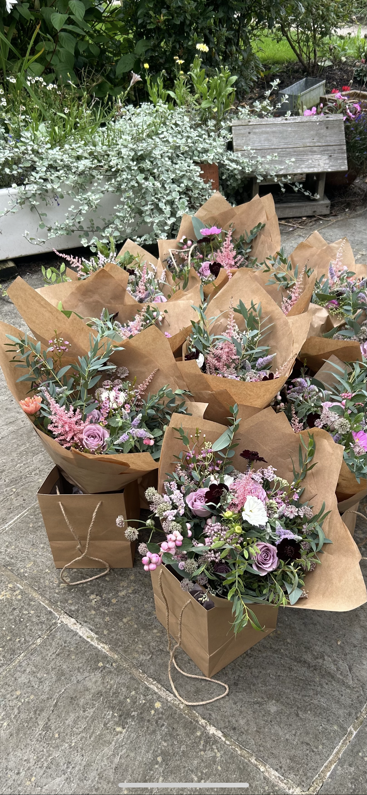 The Forget-Me-Not Plan